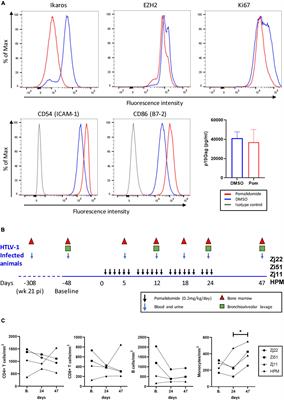 Transient Viral Activation in Human T Cell Leukemia Virus Type 1-Infected Macaques Treated With Pomalidomide